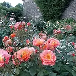 ホテル Chateau Trebesice