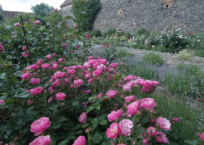 Chateau Trebesice Hotell 4*